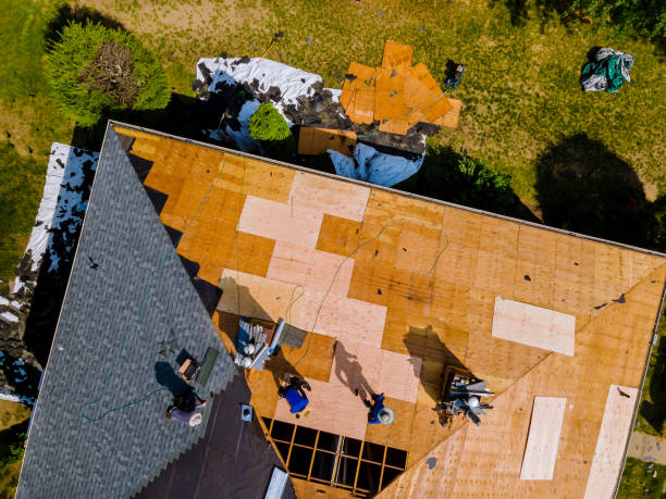 Best Storm Damage Roof Repair  in Lincoln Park, MI
