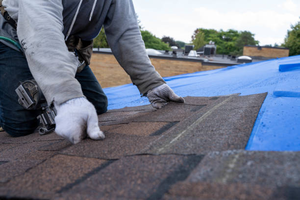 Best Flat Roof Repair Services  in Lincoln Park, MI