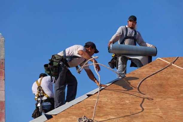 Best New Roof Installation  in Lincoln Park, MI