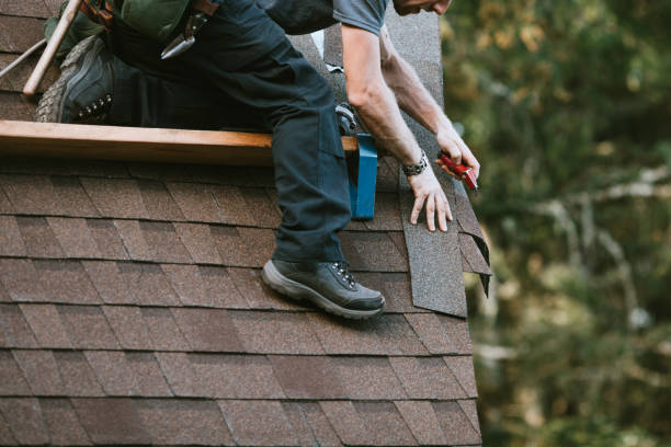 Quick and Trustworthy Emergency Roof Repair Services in Lincoln Park, MI